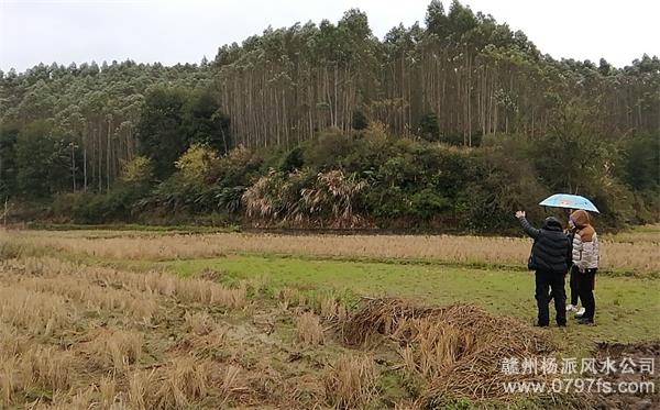 内江市陈老师带着爱徒寻龙点穴